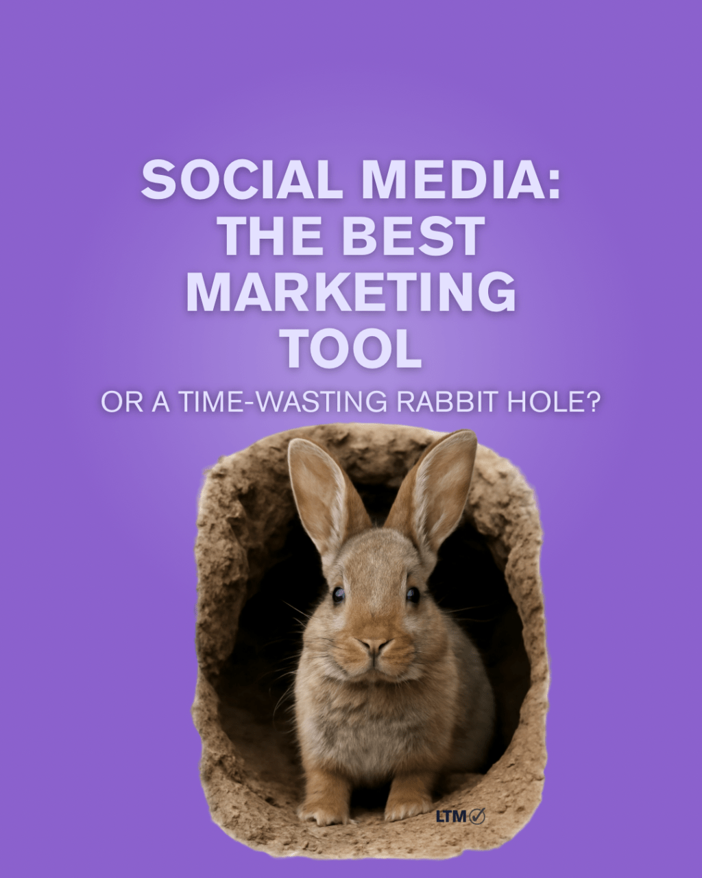 Social Media: The Best Marketing Tool or a Time Wasting Rabbit&nbsp;Hole?